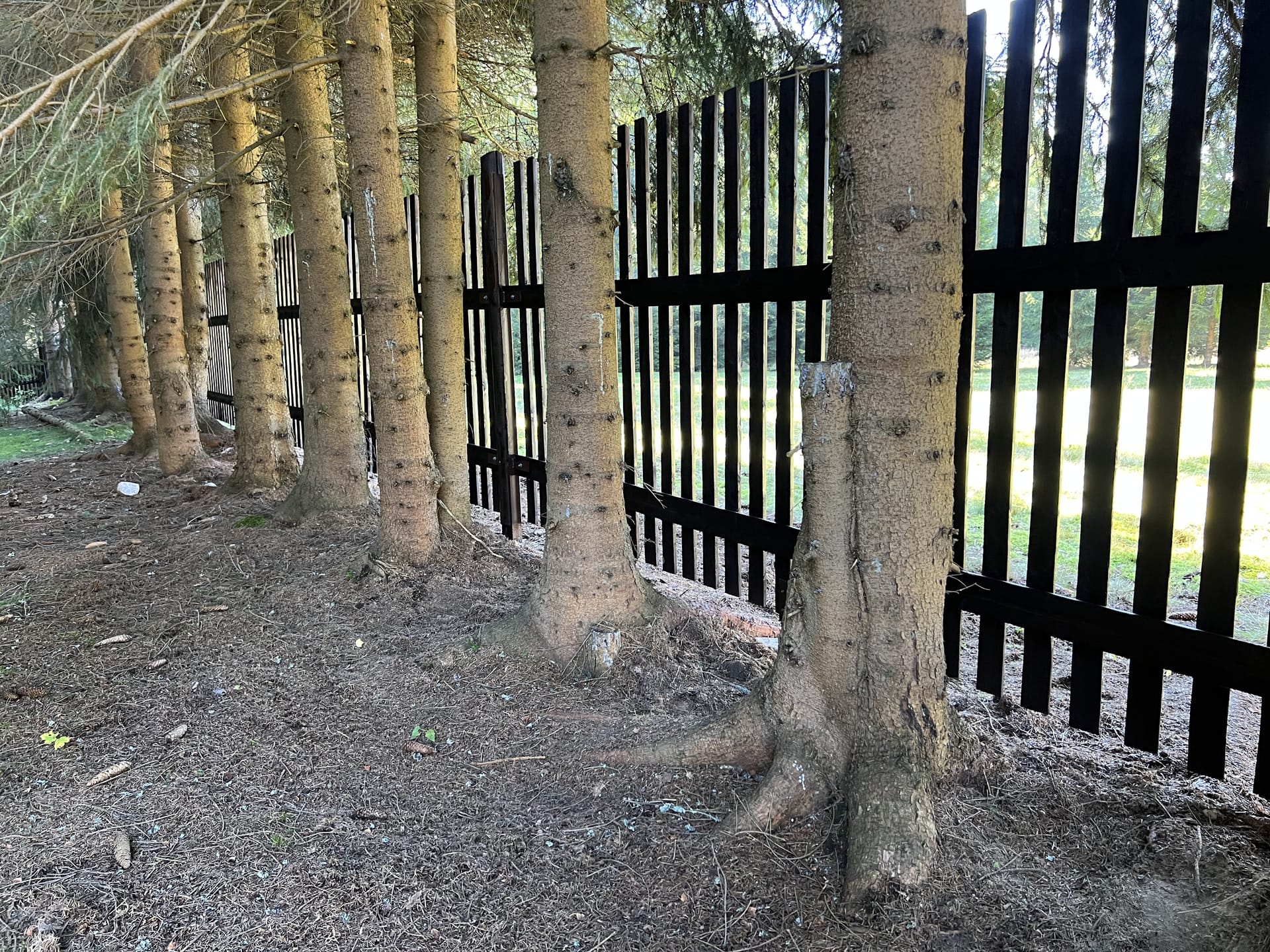 Obrázek 2 / Dřevěné ploty - strojně frézované   - realizace Harrachov 10-2021